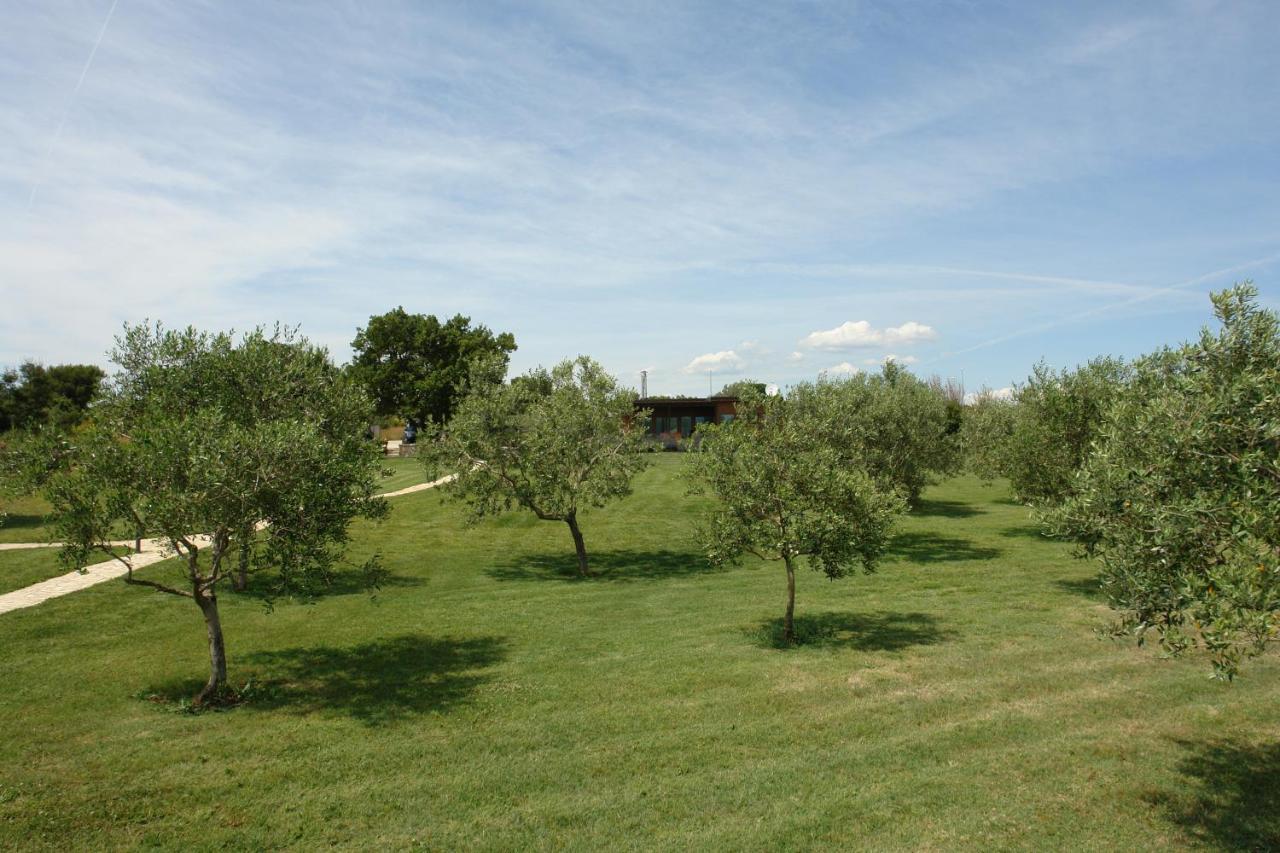 House Beta With Pool, Jacuzzi, Playground & Bbq In An Olive Grove With A Beach, Pomer - Istria Hébergement de vacances *
