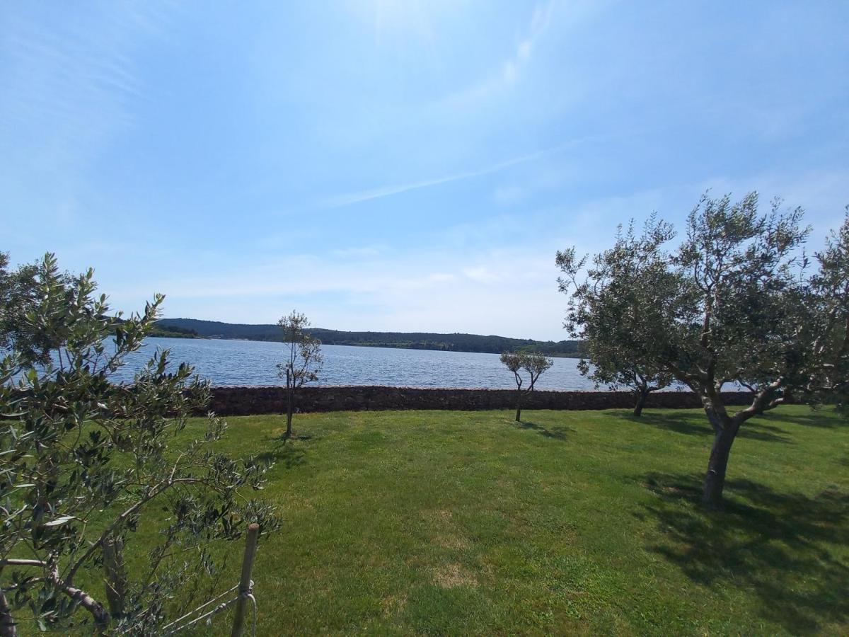 Hébergement de vacances House Beta With Pool, Jacuzzi, Playground & Bbq In An Olive Grove With A Beach, Pomer - Istria Pula
