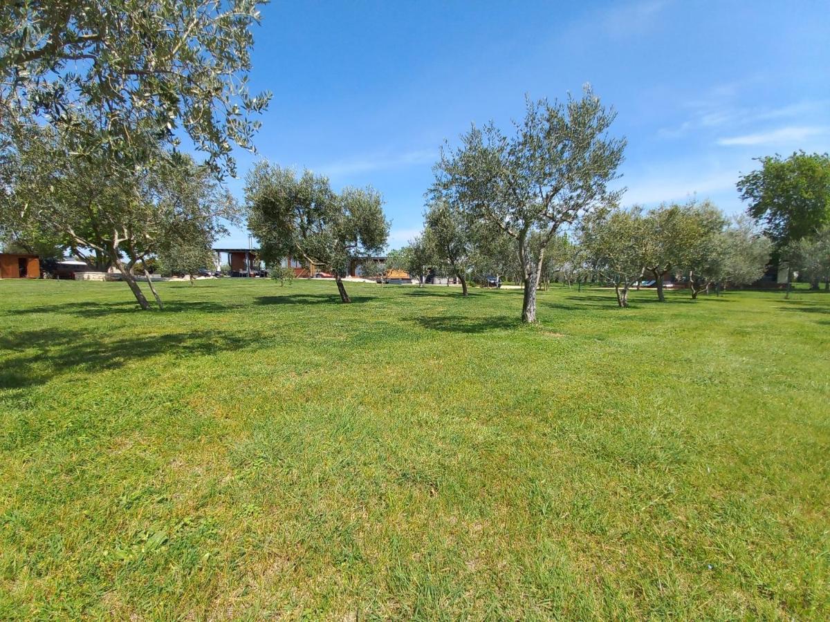 House Beta With Pool, Jacuzzi, Playground & Bbq In An Olive Grove With A Beach, Pomer - Istria * Pula